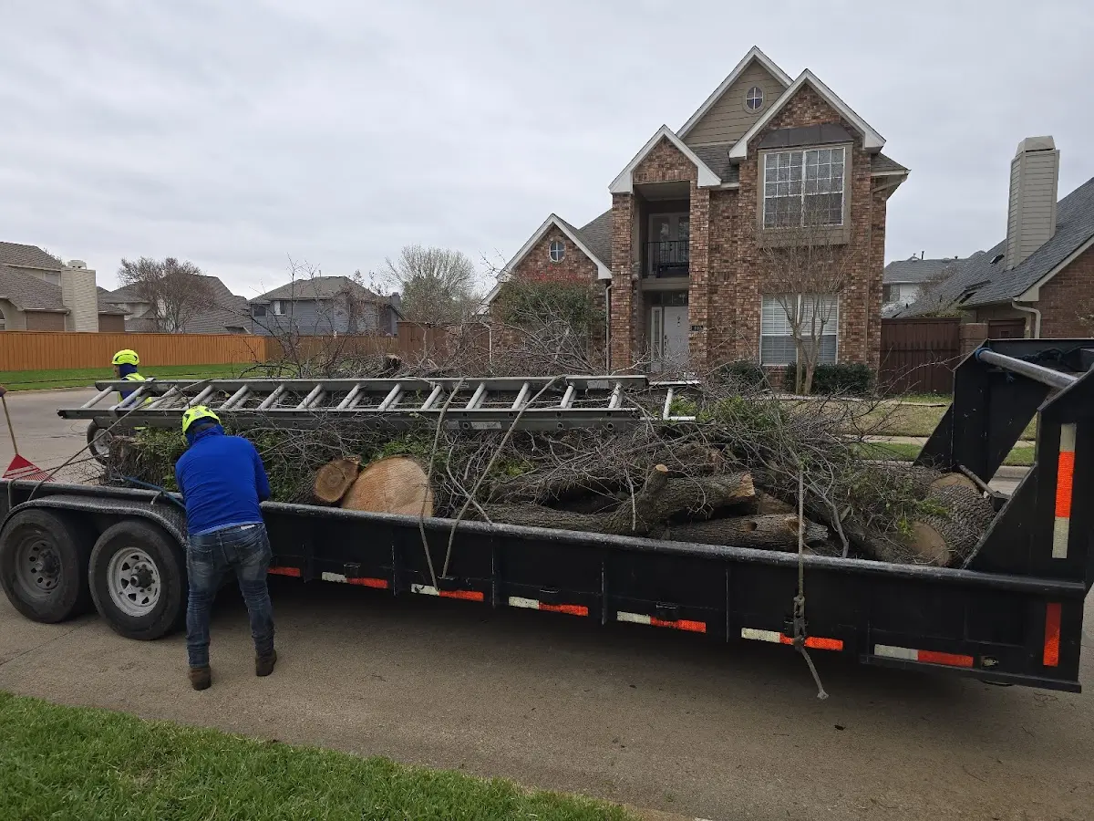 Expert Tree Pest Control with proper safety equipment in Cherryville